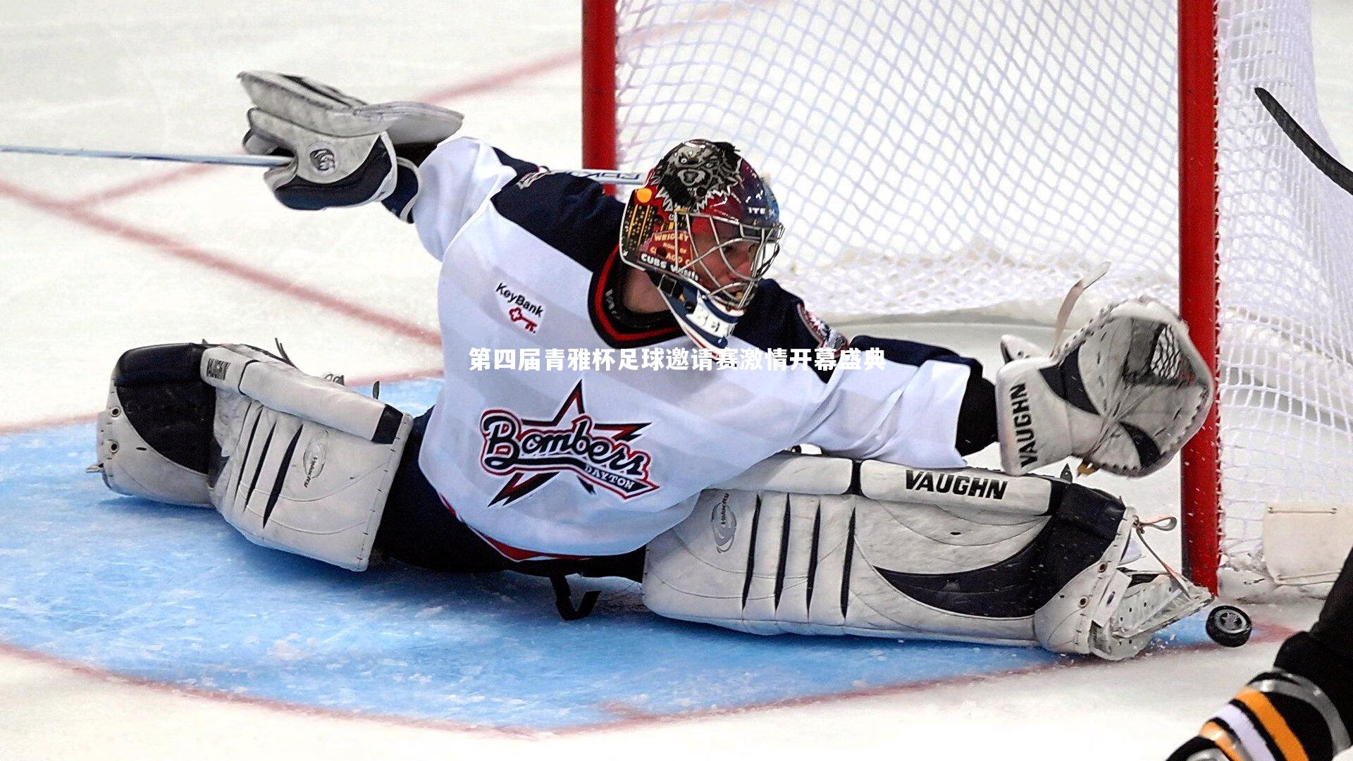 第四届青雅杯足球邀请赛激情开幕盛典